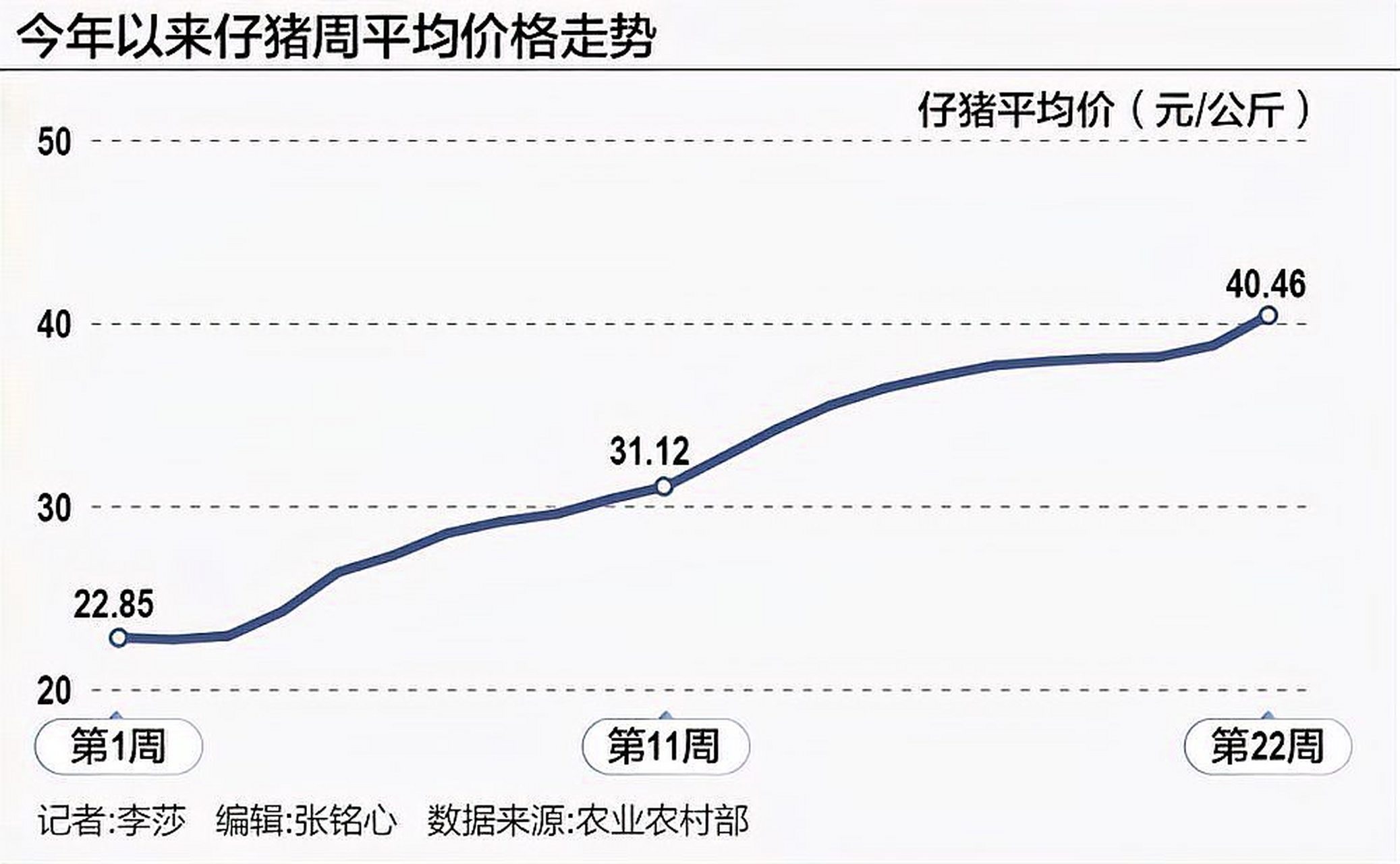 今日猪价最新猪价行情,今日猪市动态速览