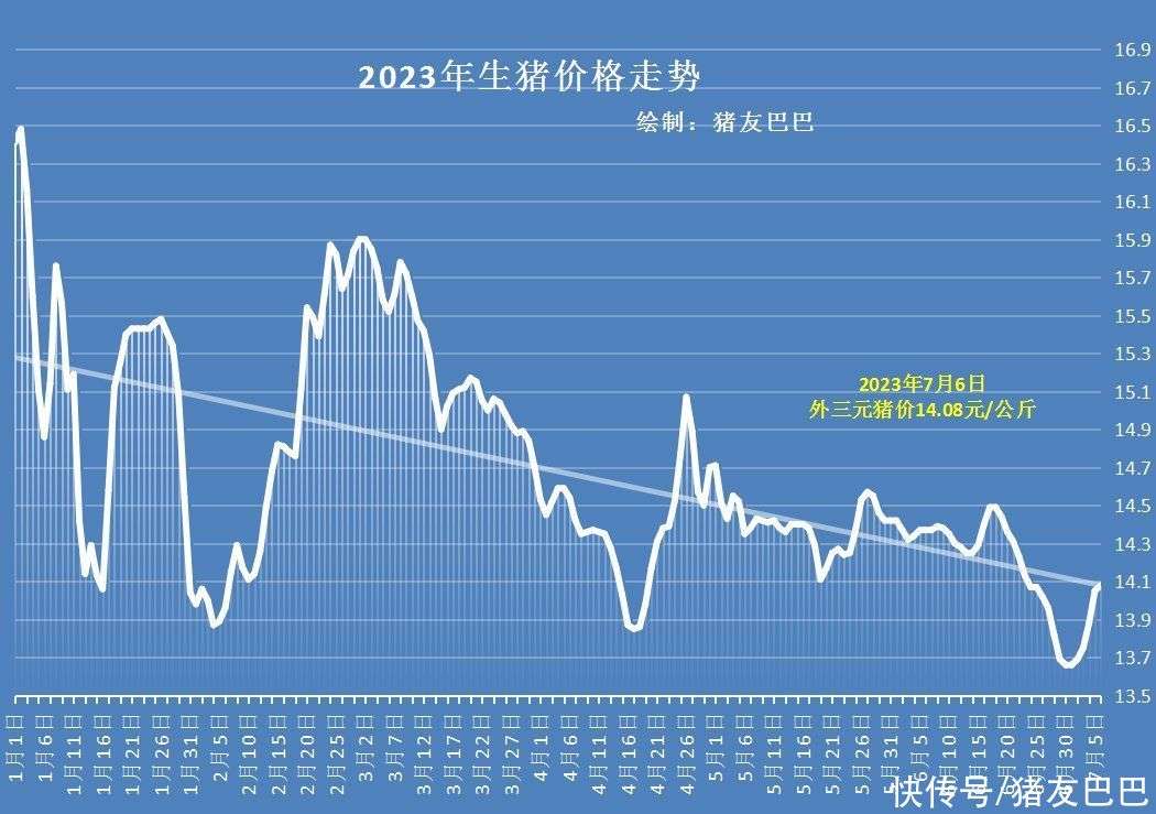 大猪价格最新行情走势｜“近期大猪市价动态解析”