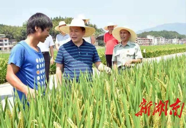 举报心动