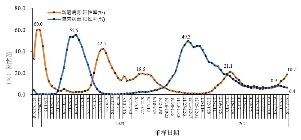 呼吸健康新篇章：肺炎病例稳步向好趋势解读